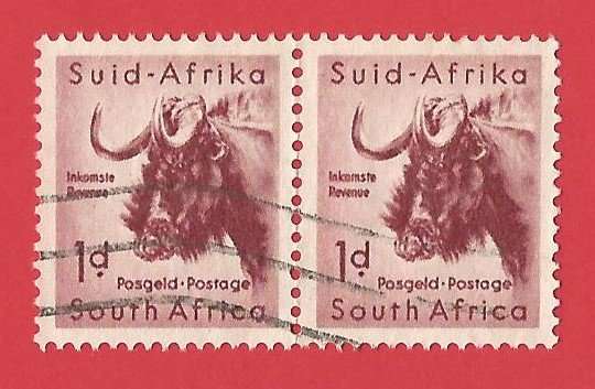 1 week auction. 1954 Union of South Africa