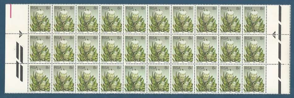 RSA SACC425 8c Protea mundii