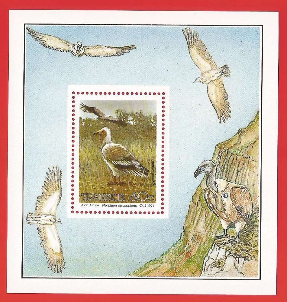 Transkei-1991- M/S-MNH- SACC 276a-Thematic-Fauna-Birds-Egyptian Vulture