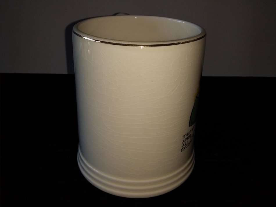 LORD NELSON WARE-ENGLAND-Beer Mug + Plate-`What`s Your`s`