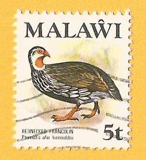 Malawi -Used-Cancel-Thematic-Fauna-Birds
