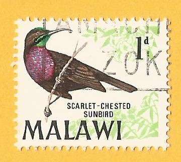 Malawi -1d-Used-Cancel-Thematic-Fauna-Birds
