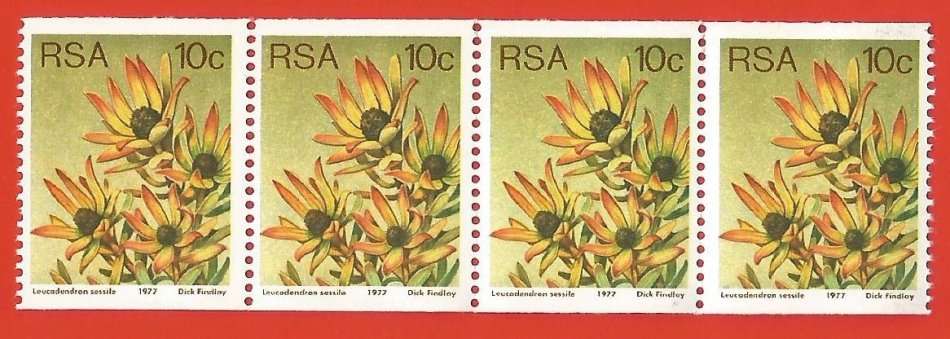RSA-1977 SACC438 -Coil-No 315-10c-Protea-Strip of 4-MNH-Thematic-Flora