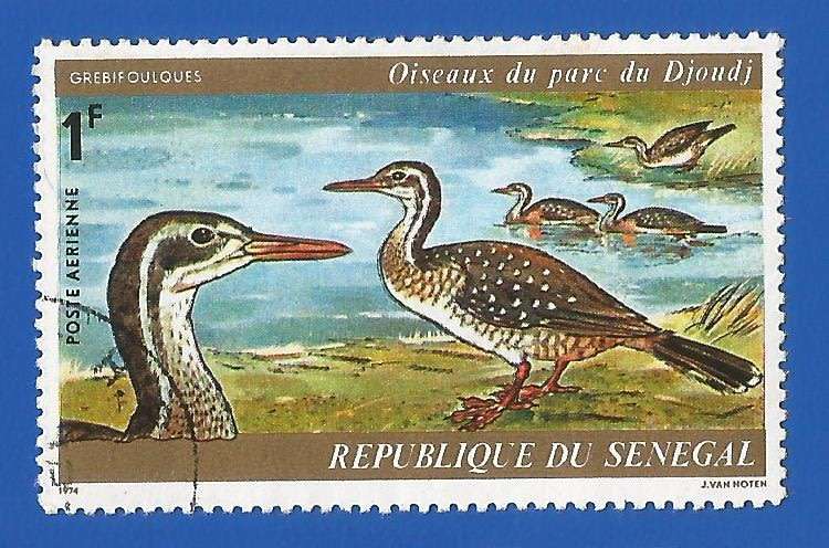 Senegal 1974 Airmail - Birds of Djoudj Park -Used-Thematic-Fauna-Birds