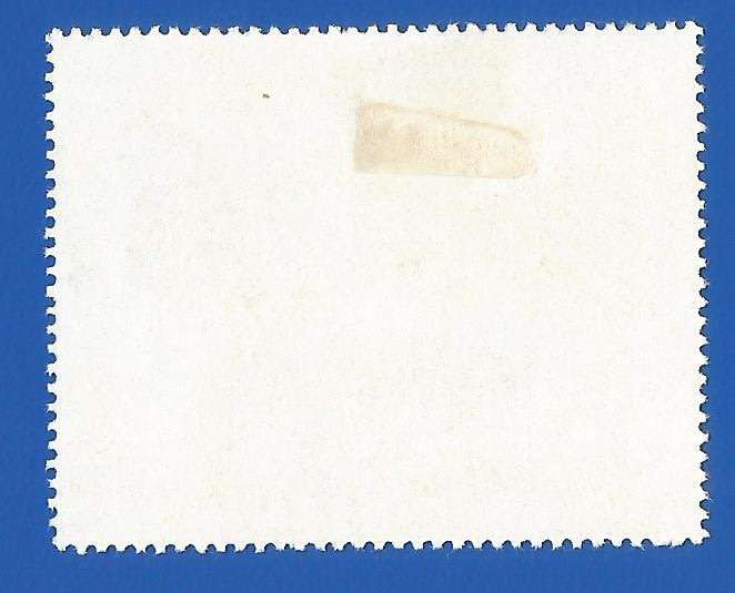 Middle East- Fujeira- Used- Thematic- Fauna- Moth