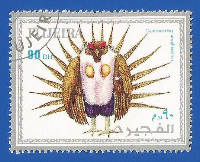 Middle East- 1972 Fujeira- Used- Thematic- Fauna- Birds