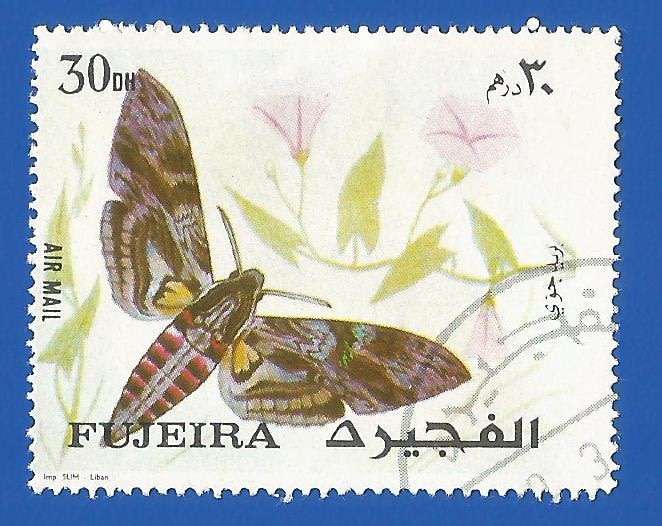 Middle East 1972 Moths - Fujeira- Used- Thematic- Fauna- Moth