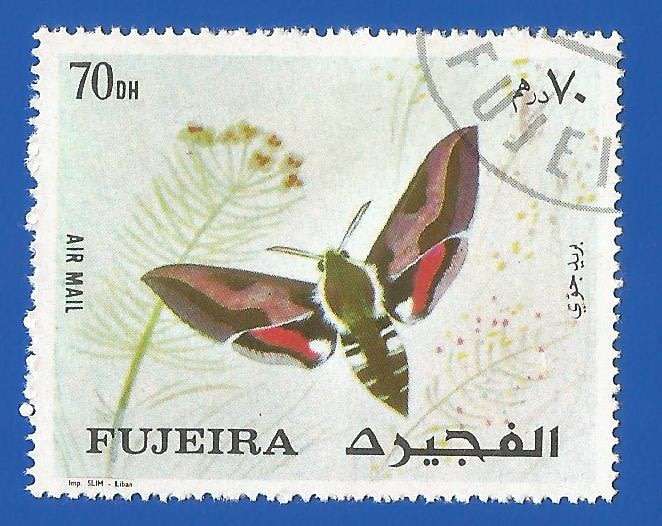 Middle East- Fujeira- 1972 Moths  Used- Thematic- Fauna- Moth