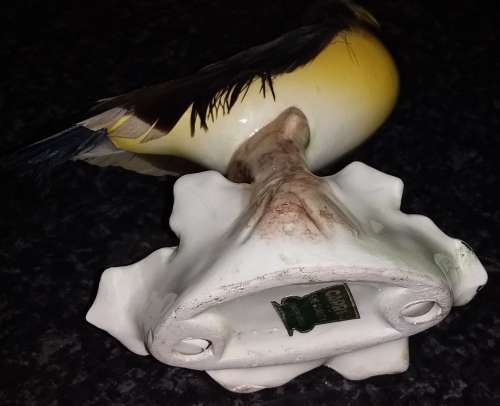 Capri - Hand pained bird with real feathers. Collectable - Ornament