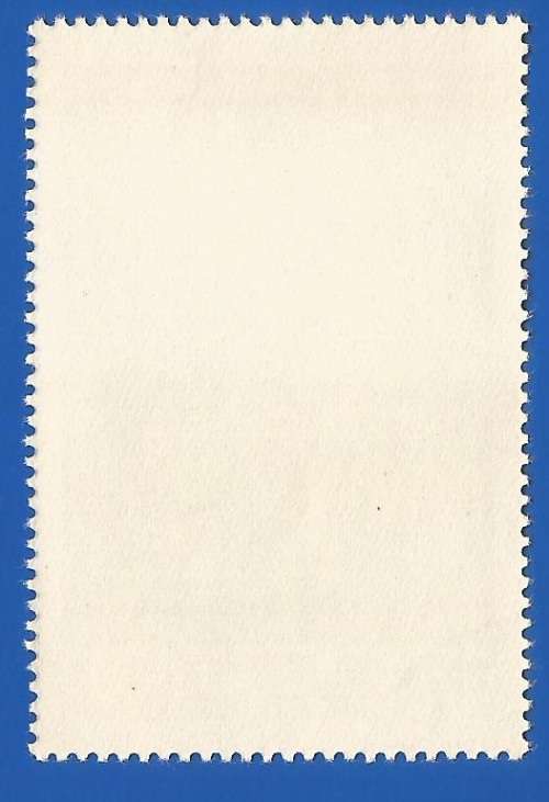 Mongolia-Used-Thematic-Fauna-Camel