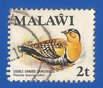 Malawi 1975 Birds Pterocles bicinctus usheri -Used-Thematic-Fauna-Birds