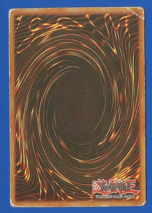 YU-GI-OH Trading Card Game-Konami-Dark Zebra-ATK-1800-DEF-400