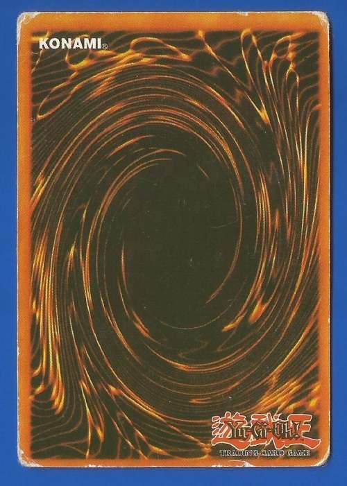 YU-GI-OH Trading Card Game-Konami-1996-1st Edition-Ryu Kokki-ATK-2400-DEF-2000