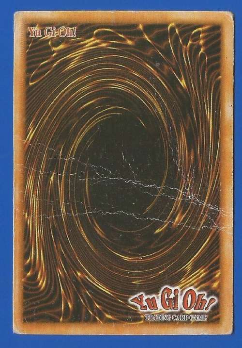 YU-GI-OH Trading Card Game-Magnetic Fighter Marking Dubar Loachlion-ATK-3500-DEF-3850