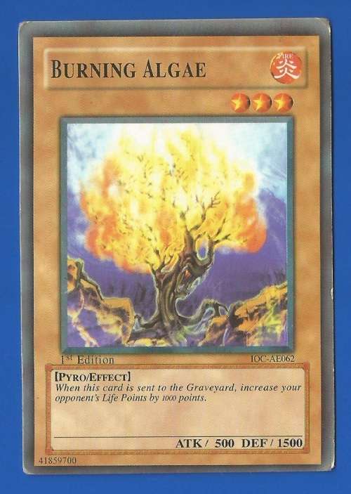 YU-GI-OH Trading Card Game-Konami-1st Edition-Burning Algae-ATK-500-DEF-1500