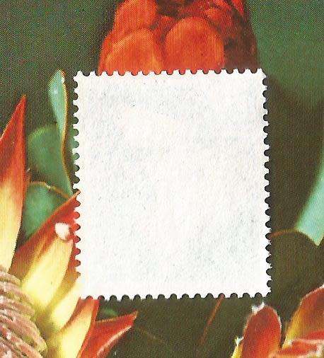 Germany-Used Single Stamp