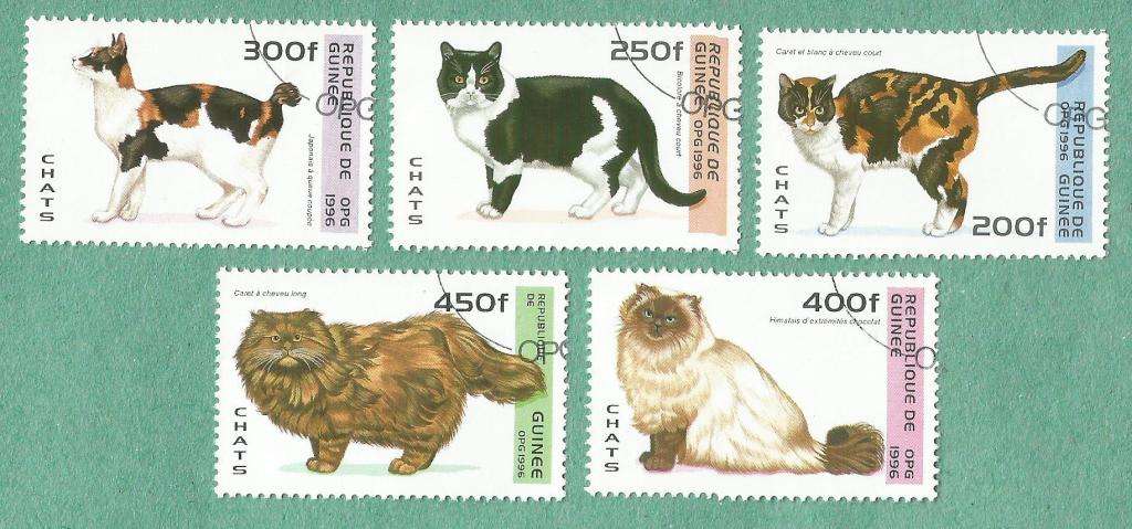 Guinea Used 1996 Cats