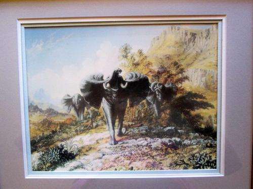 OLD TIME ELEPHANT PRINT - see discription