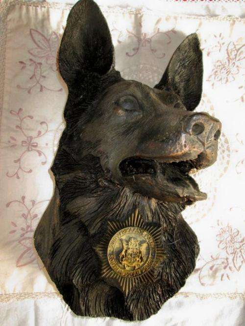 "Bust" of an Alsatian S.A. Police dog - with badge. Ready to hang.
