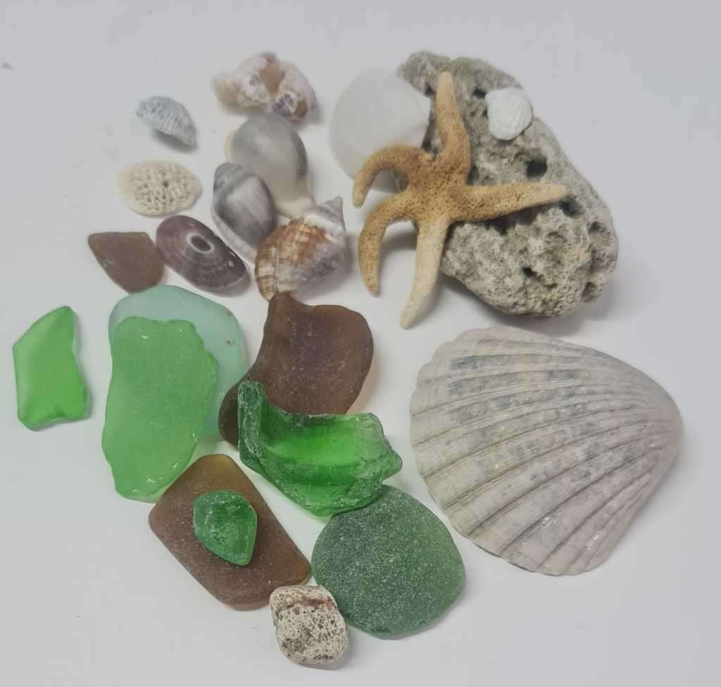 Sea shells and sea glass