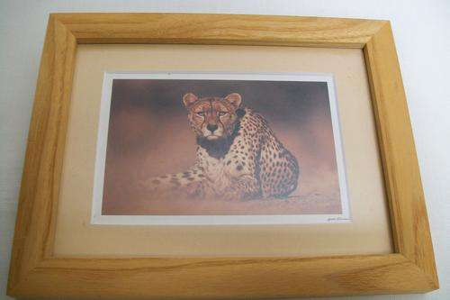 Wild Life Photographic Print by Horst Klemm of a Cheetah (3)