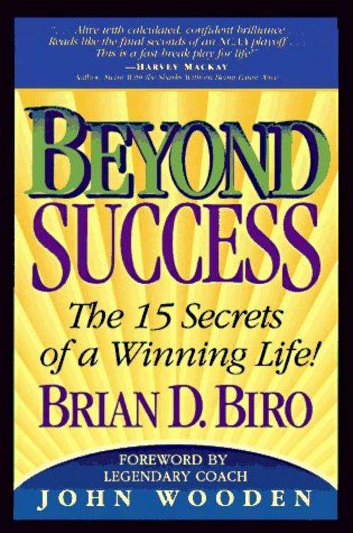 Beyond Success - Brian D. Biro