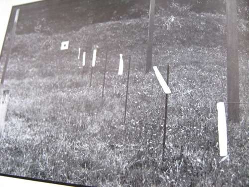 RIFLE SHOOTING AS A SPORT - PLENTY OF ILLUSTRATIONS!! 190+ PAGES - HARDCOVER.