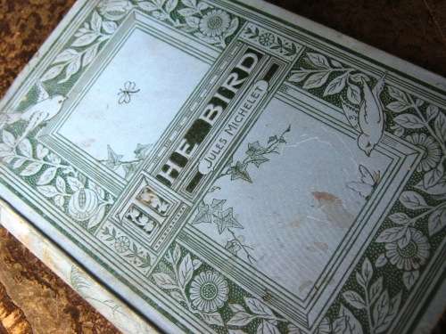 1895 -  THE BIRD - JULES MICHELET - INCLUDES 210 WONDERFUL ETCHED ILLUSTRATIONS.