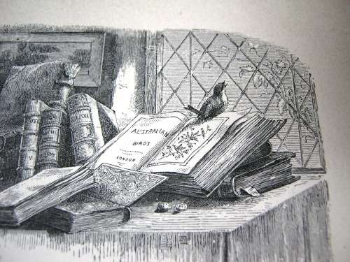 1895 -  THE BIRD - JULES MICHELET - INCLUDES 210 WONDERFUL ETCHED ILLUSTRATIONS.