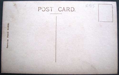 NATAL - ESTCOURT - OSTRICH FARMING!!! YOU LEARN SOMETHING EVERY DAY? -  VINTAGE POSTCARD.