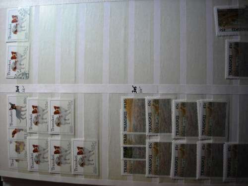 STOCKBOOK ( PRESENTABLE ,CLEAN - MINOR FAULTS) - TRANSKEI , 1989/1993 - OVER 200 PERFECT MNH SETS!!