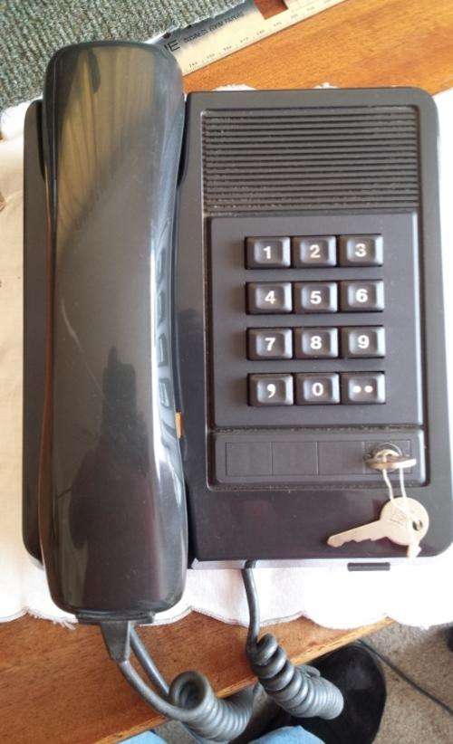 Vintage Protea Telephone