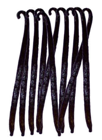 Matured Vanilla Pods / vanilla beans 10 pack