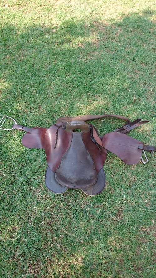 Horse Saddle