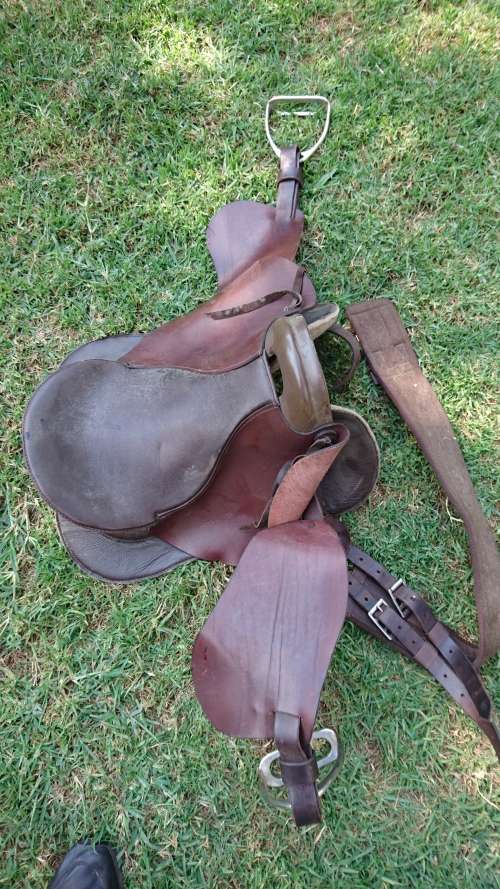 Horse Saddle