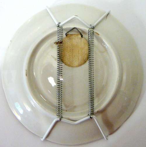 Wall Plate and Hanger St. Peters Square Rome