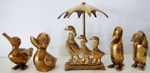 All The Ducks in a Row