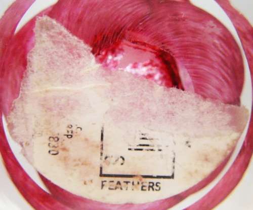 Absolutely Stunning Glass Paperweight - Feathers by Caithness