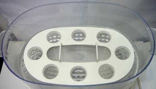 A RAPID Steam Supreme Food Steamer