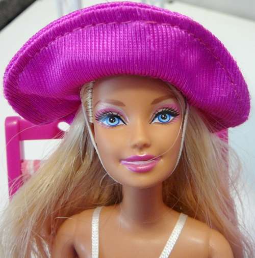 Barbie in Her Bikini next to The Pool