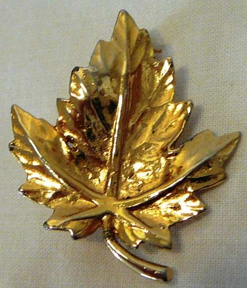 Gold Coloured Leaf Brooch