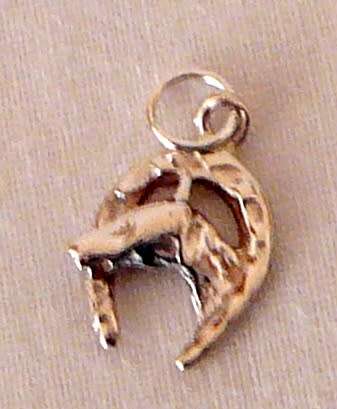 A Sterling Silver Charm - A Lucky Horse Shoe with Horses Head
