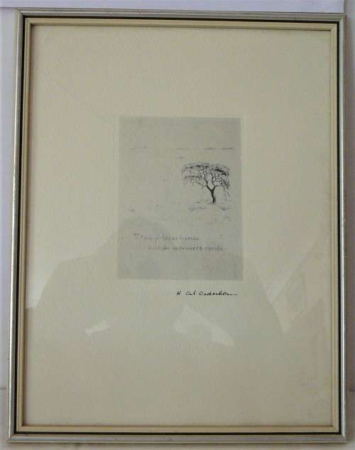 A Delightful Framed Pencil Drawing of a Tree - Signed by the Artist
