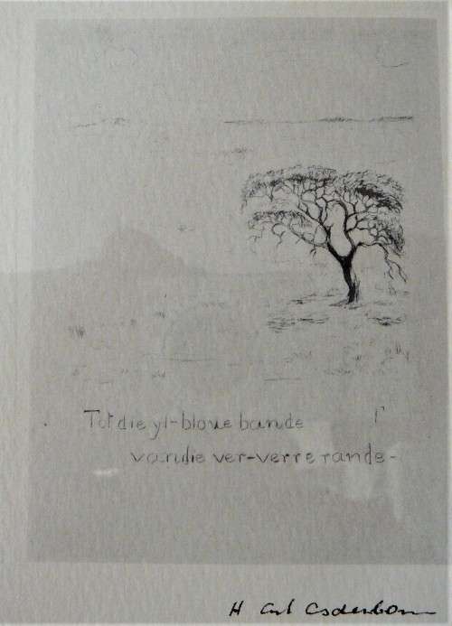 A Delightful Framed Pencil Drawing of a Tree - Signed by the Artist