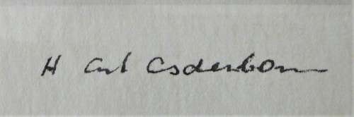 A Delightful Framed Pencil Drawing of a Tree - Signed by the Artist