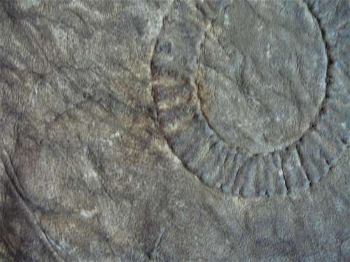 A Hand Made Leather and Glass  Bead Wall Hanging