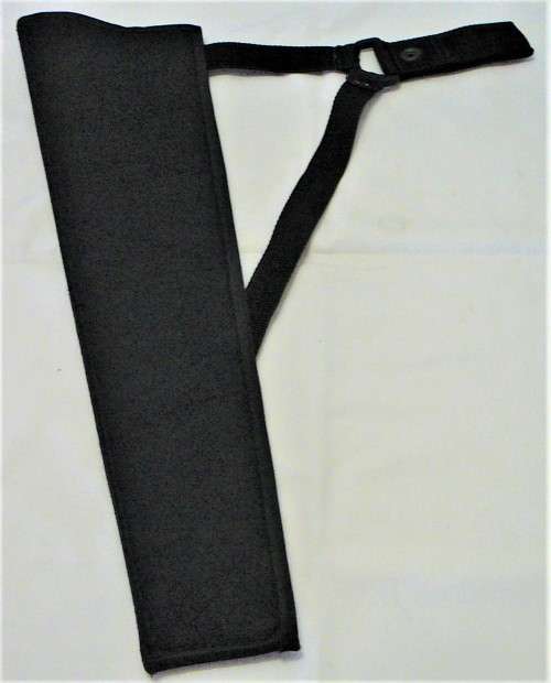 A Compound Bow by PSE Model Chaos S1 with Bag and Quiver