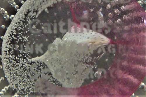 Pink Champagne - A Stunning Paperweight by Caithness