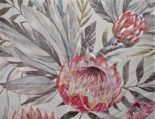 Proteas on Canvas - An Unused print in Original Plastic Wrapping