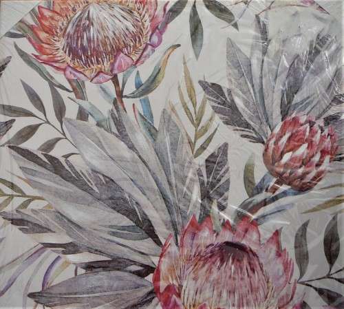 Proteas on Canvas - An Unused print in Original Plastic Wrapping
